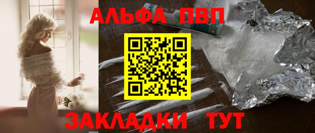 Альфа ПВП СК Кострома