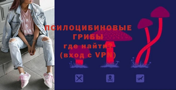 a pvp Михайлов