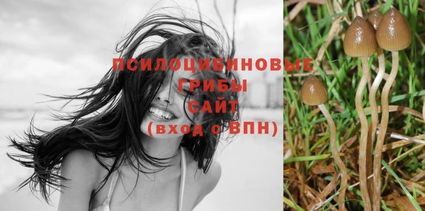 гидропоника Михайловск