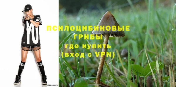 a pvp Михайлов