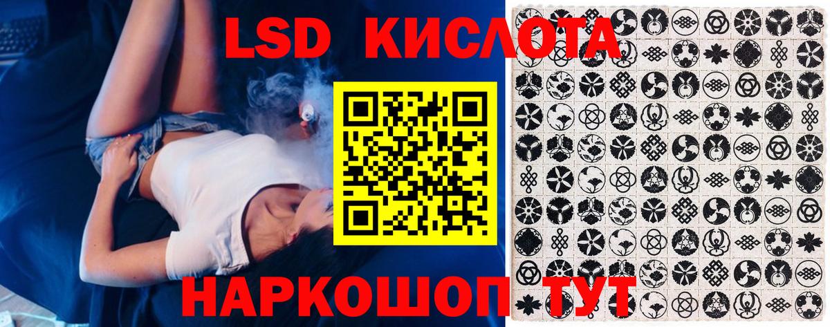 МЕФ Кострома