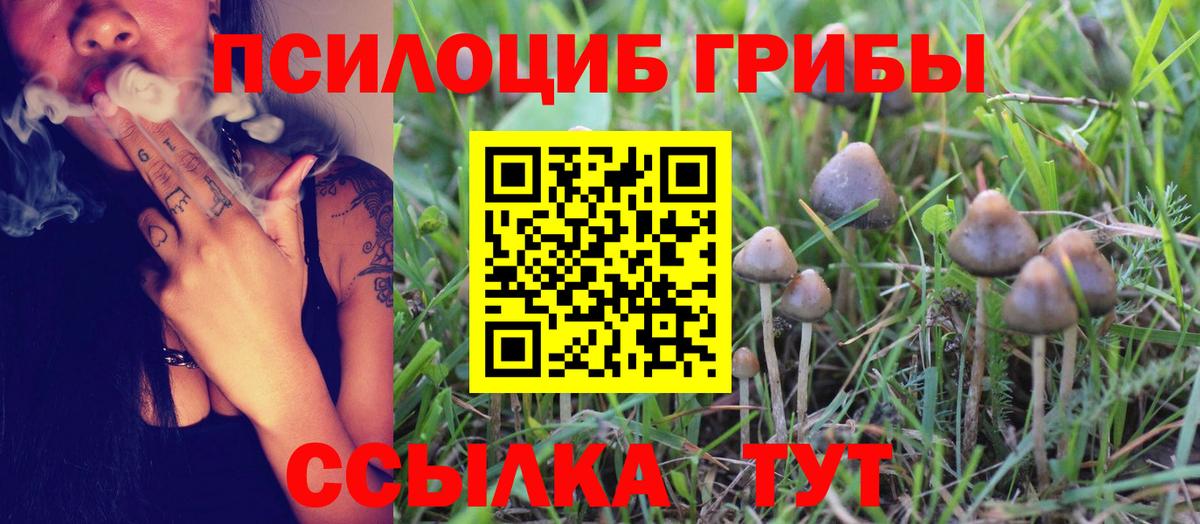 Галлюциногенные грибы Psilocybine cubensis  Вход с VPN  Кострома  Галлюциногенные грибы Psilocybe 