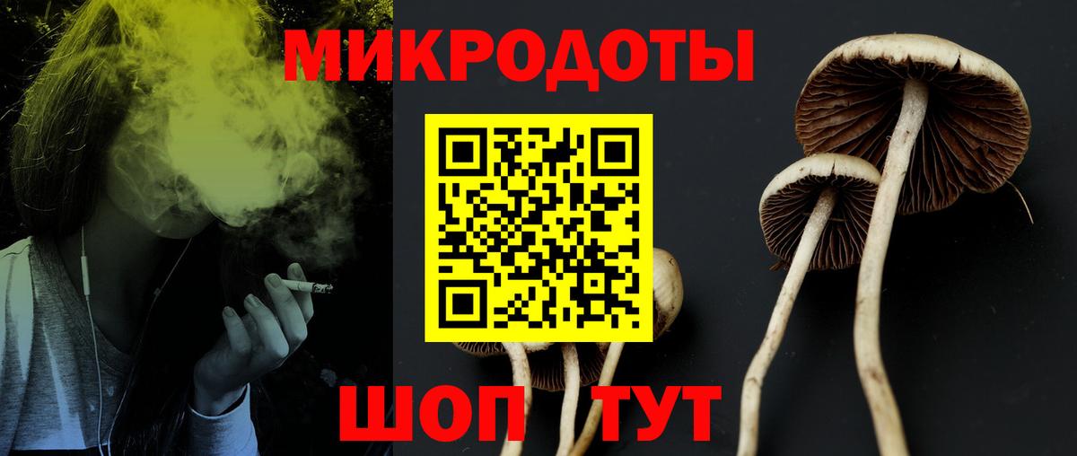 Галлюциногенные грибы ЛСД  Кострома  где купить   Псилоцибиновые грибы Cubensis 