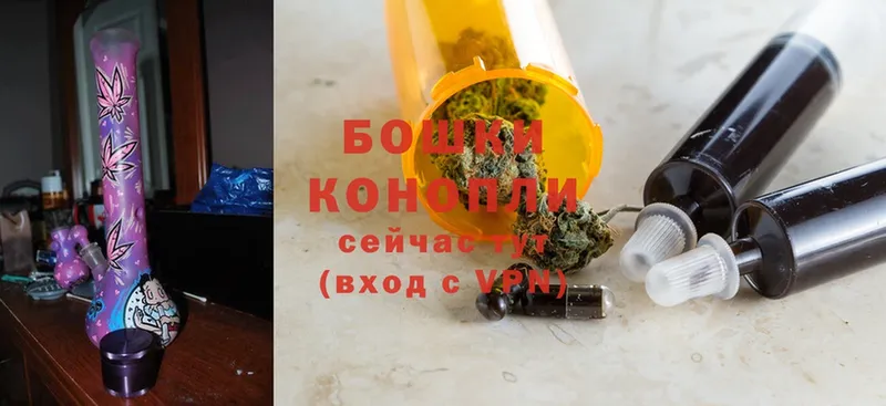 Конопля OG Kush  Кострома 