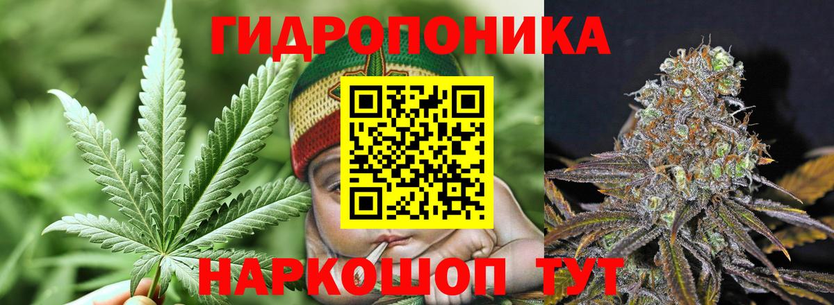 Шишки марихуана гибрид Кострома